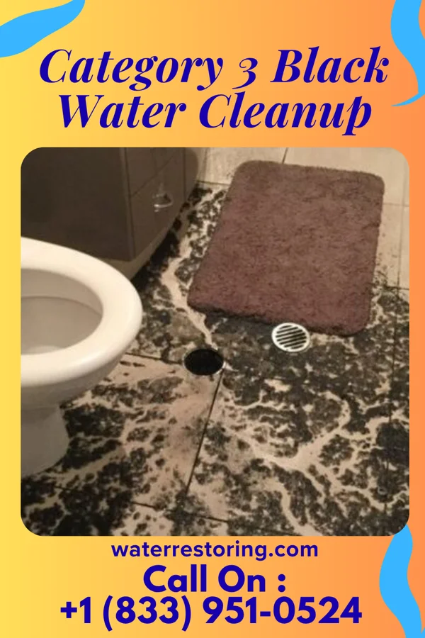 Category 3 Black Water Cleanup in Hartwick, IA
