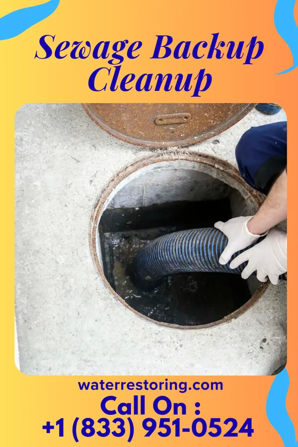 Sewage Backup Cleanup in Hartwick, IA